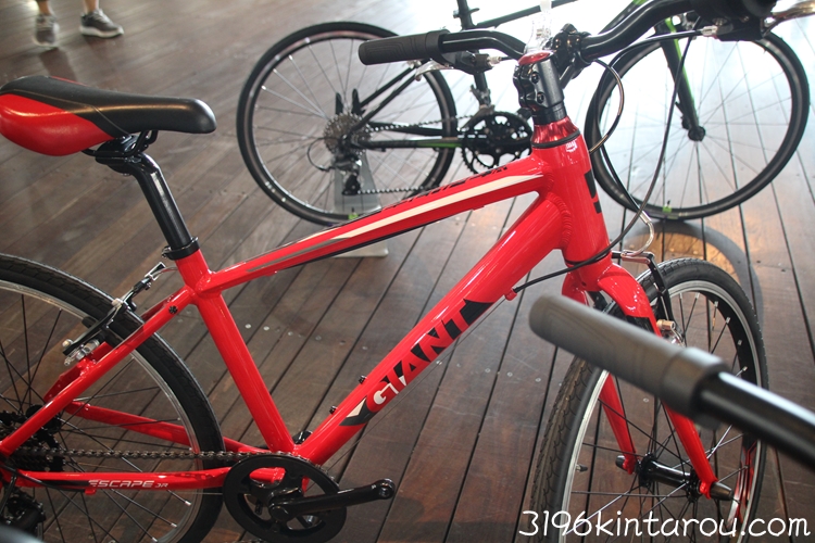 魅力的な価格 GIANT ジュニア フレーム+タイヤ - 自転車本体